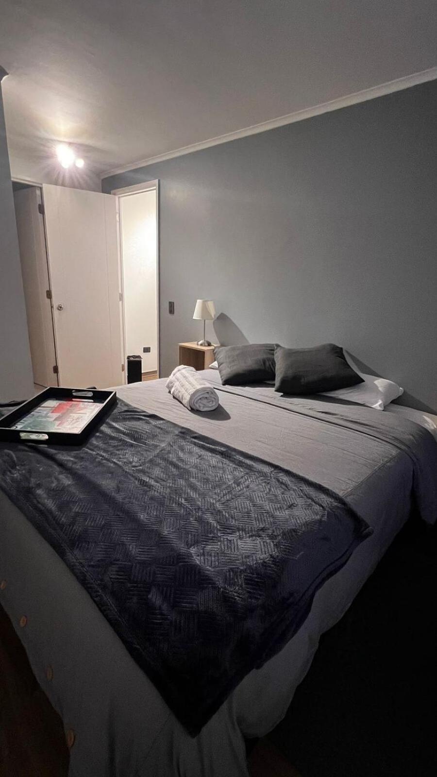 Departamento En Centro Santiago