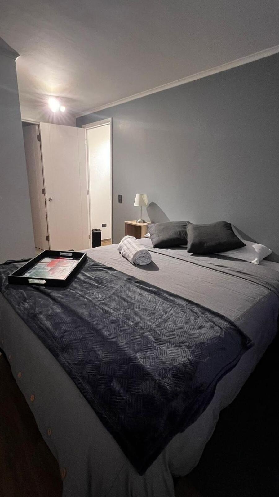 Departamento En Centro *